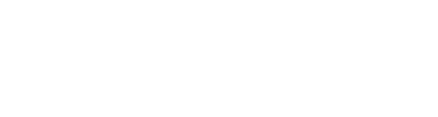 ACTION CUSTOM WORKS